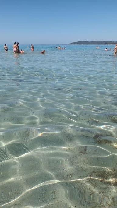 Casa Vacanze Sos Flores Alghero Exteriör bild